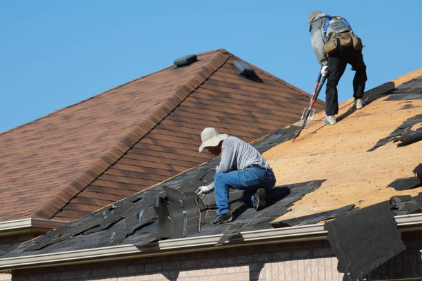 Best Metal Roofing Installation  in Altadena, CA